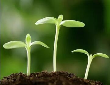 QQ截圖20160428101227