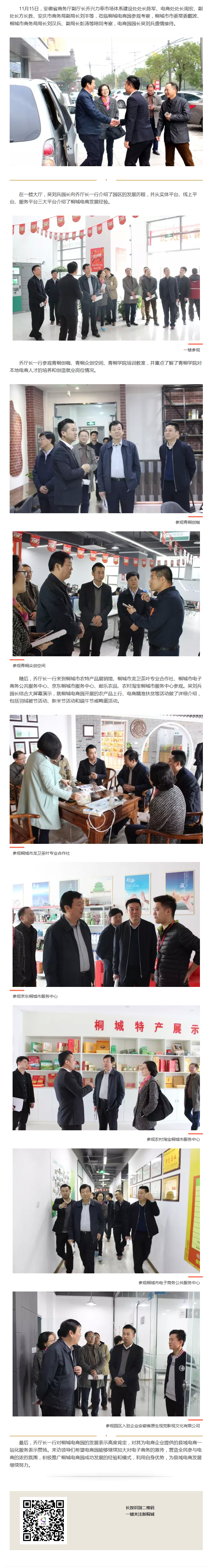 安徽省商務(wù)廳副廳長喬興力一行蒞臨桐城電商園參觀考察